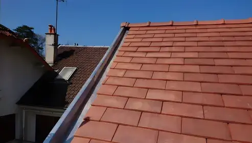 demoussage toiture à Mandres-les-Roses - image 3