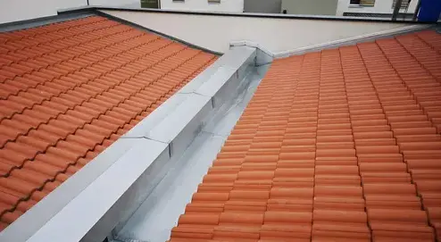 demoussage toiture Villecresnes-1