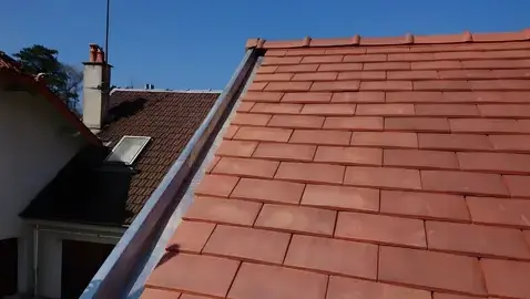 demoussage toiture à Villecresnes - image 2