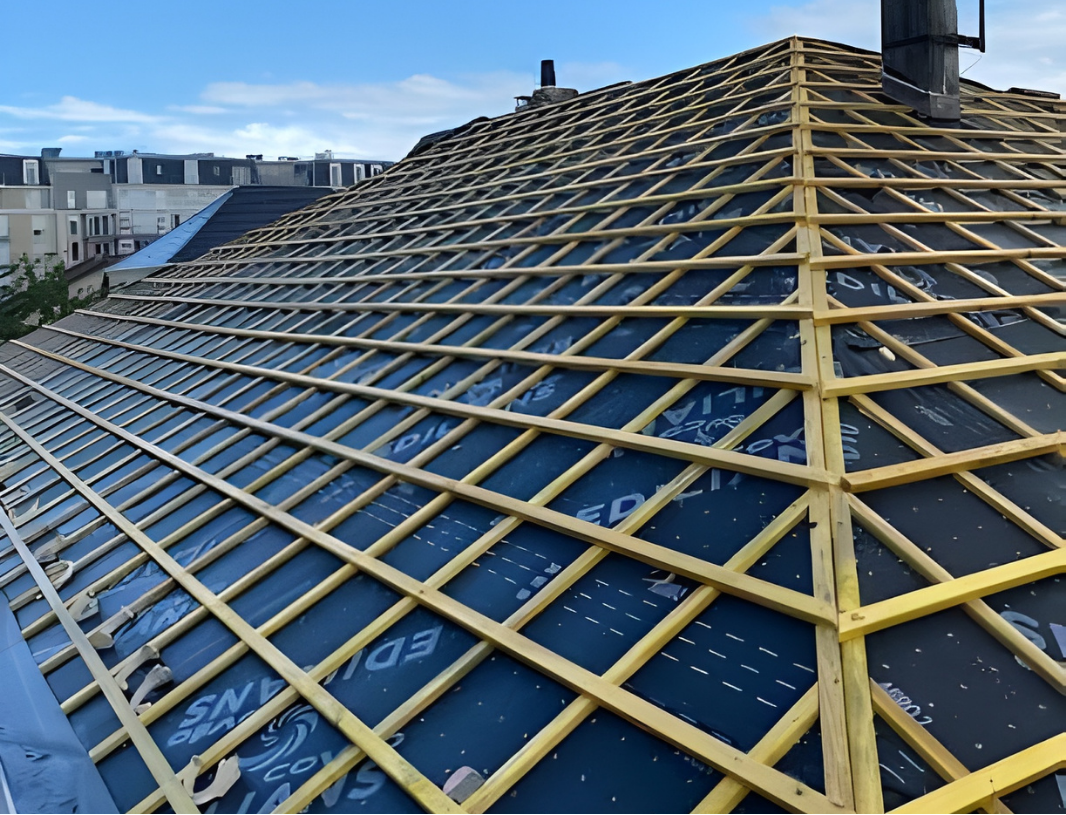 fuite toiture mandres les roses