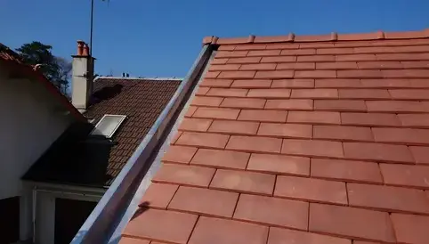 nettoyage toiture Brunoy-1