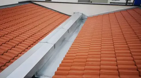 nettoyage toiture à Brunoy - image 3