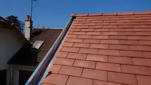 nettoyage toiture Villecresnes-1